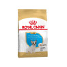 Royal Canin BULLDOG FRANÇÊS PUPPY