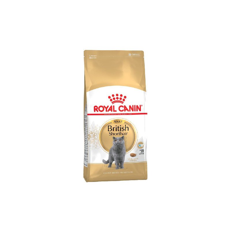 Royal Canin CAT BRITISH SHORT HAIR