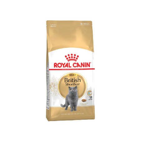 Royal Canin CAT BRITISH SHORT HAIR