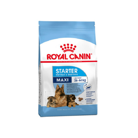 Royal Canin MAXI STARTER