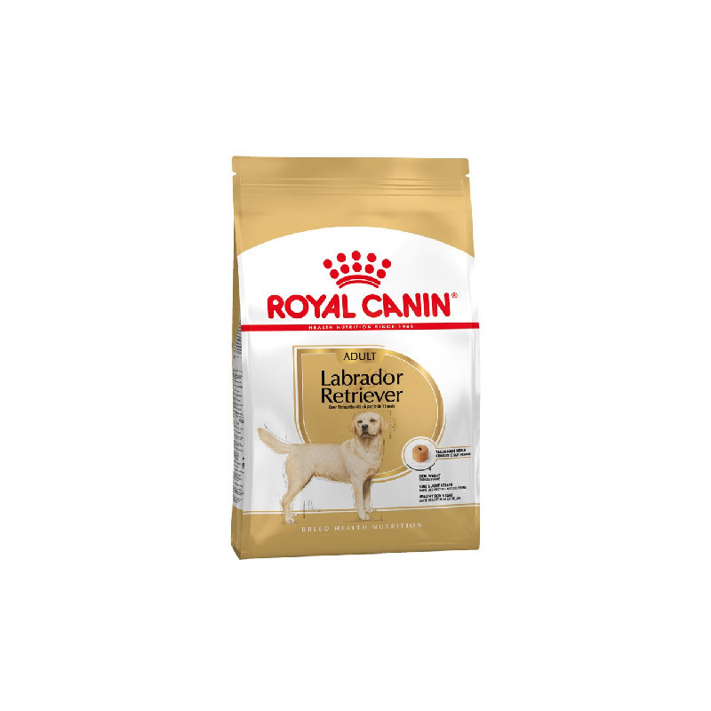 Royal Canin LABRADOR ADULTO