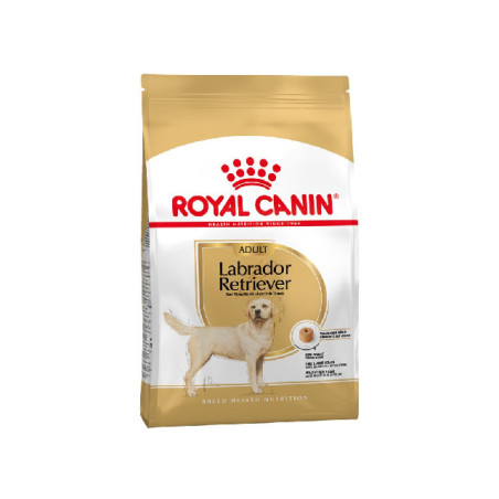 Royal Canin LABRADOR ADULTO
