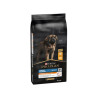 Pro Plan ADULTO ROBUST FRG