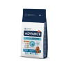 ADVANCE MEDIUM ADULT-FRANGO