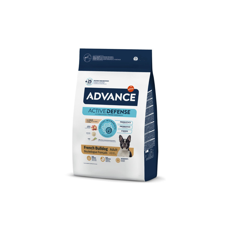 ADVANCE  FRENCH BULLDOG -PATO