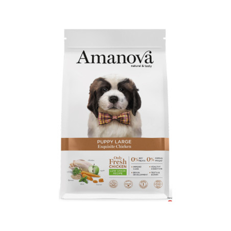 AMANOVA PUPPY LARGE CHICKEN & QUINOA
