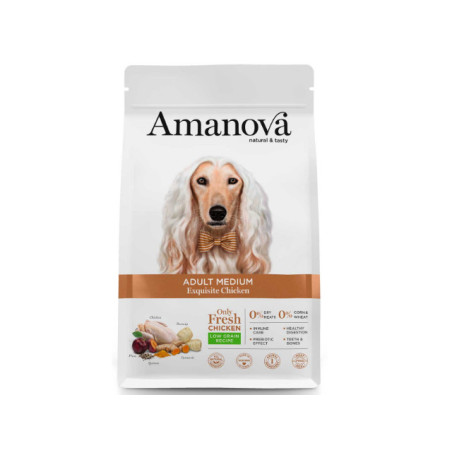AMANOVA ADULT MEDIUM CHICKEN & QUINOA