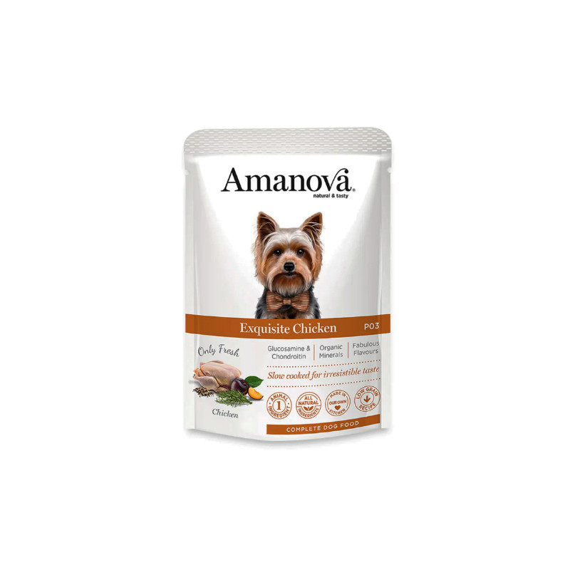 AMANOVA SAQ. WET DOG CHICKEN 12x100G