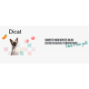 DICAT